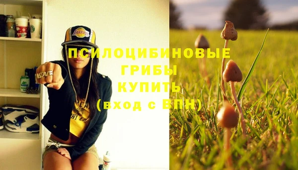 бошки Протвино