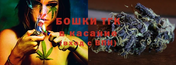 прущие грибы Пролетарск